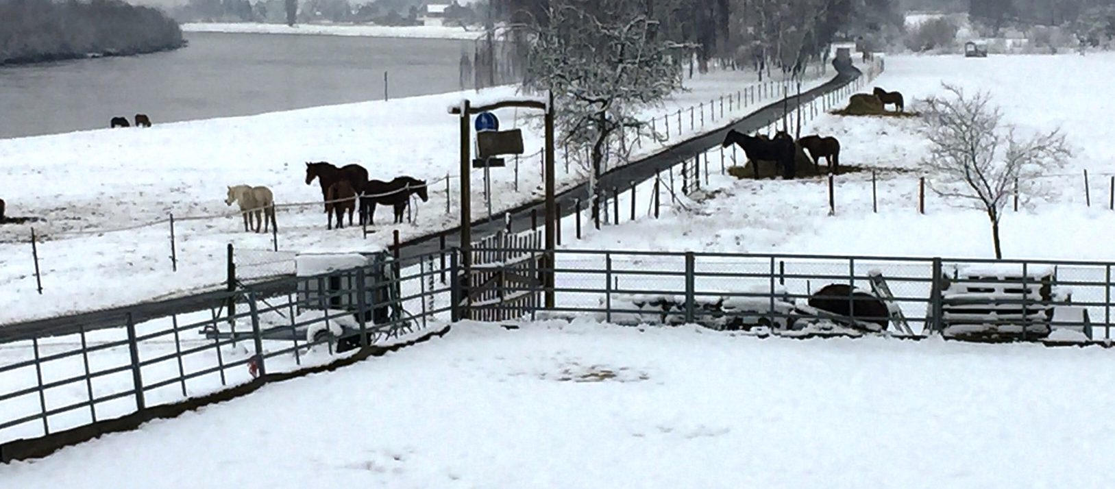 Winter auf den Pferdekoppeln
